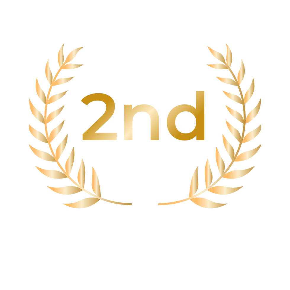11.png